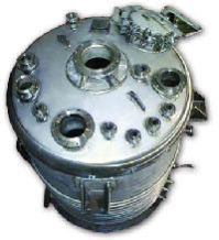 Reactor Vessel