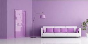 Plastic Emulsion Paints