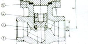 Forged Check Valve