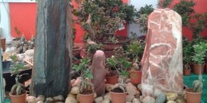 Cement Flower Pots