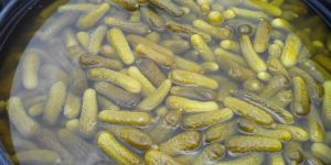 Pickled Gherkins