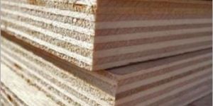 Commercial Plywood