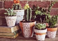 Terracotta Pots Paintings