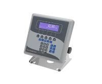 Electronic Indicators
