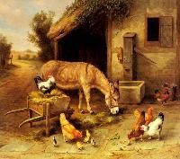 Animal Oil Paintings