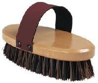 Horse Brushes