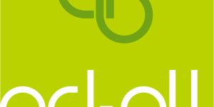 Web Design and Web Development