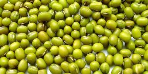 Green Pulses