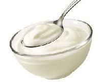 Yogurt