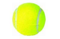 Cricket Tennis Balls