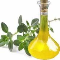 Thyme Oil
