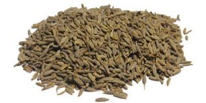 European Cumin Seeds