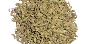 Fennel Seeds