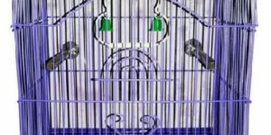 Bird Cages