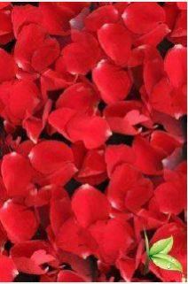Rose Petals