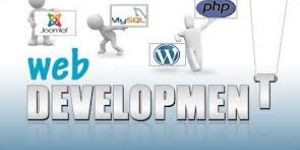 Web Development Company India