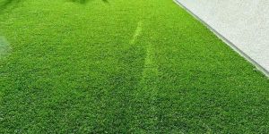 Artificial Turf Grass