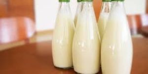 Sakar Teti Milk Syrup