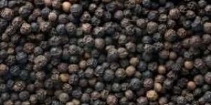 Black Pepper