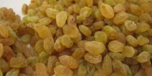 Dried Raisin