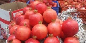 Fresh Pomegranate