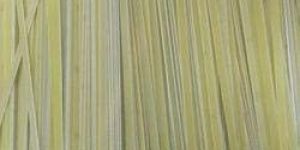 Fiber Glass Slot Wedges