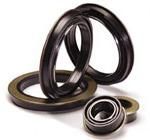 Oil Seals