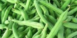 Fresh Beans