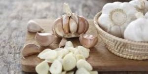 Fresh Garlic