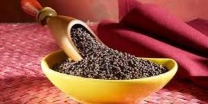 Mustard Seeds