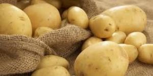 Fresh Potato