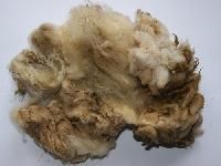 Wool Wastes