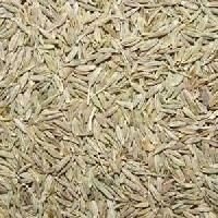 White Cumin Seeds