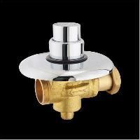 Concealed Flush Valve