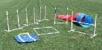 Agility Equipment