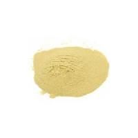 Yeast Extract Powder