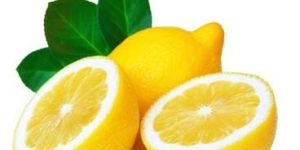 Fresh Lemon