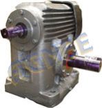 Worm Gear Motor