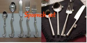 SS Spoon Set
