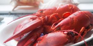 Frozen Cooked Lobster