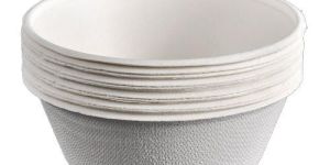 Disposable Paper Bowl