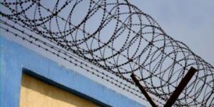 Concertina Razor Coil