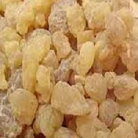 Gum Olibanum