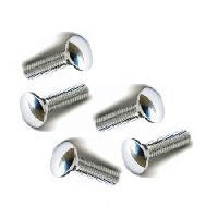 Stainless Steel Carriage Bolts