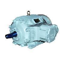 Squirrel Cage Electric Motors