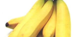 Banana Ripening Chamber
