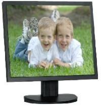 Color Monitors