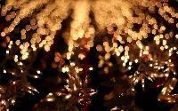 Christmas Lights