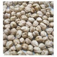 Dollar Chana