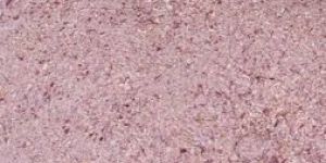 Dehydrated Red Onion Granules